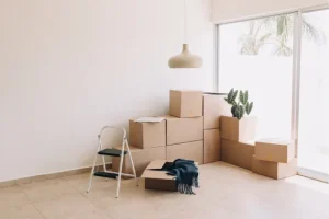 apex demenagement service