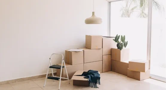 apex demenagement service